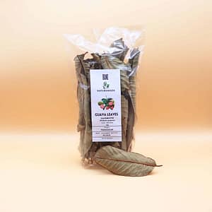 Feuilles de goyavier Naturamada